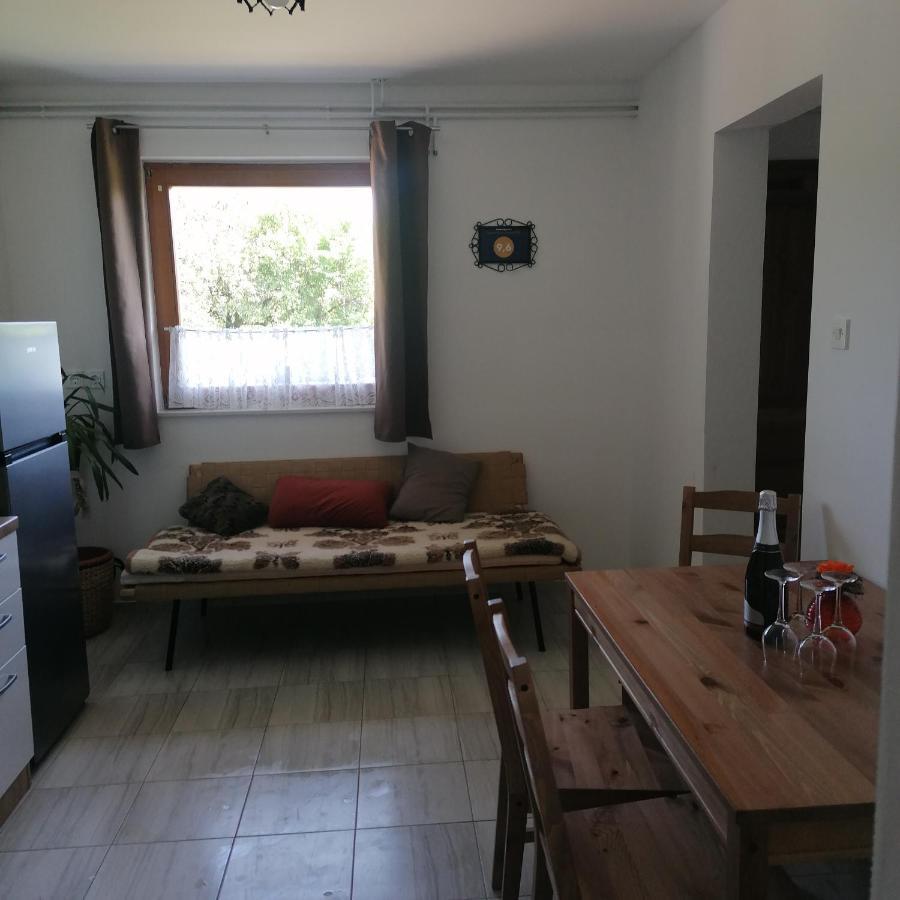 דירות Vransko Apartmaji Borstner מראה חיצוני תמונה